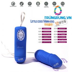 Trứng Rung Đầu Dương Vật Zeo – X2 Cảm Xúc Của Bạn