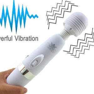 Chày Rung Giá Rẻ Louge – Thương Hiệu Đã Được Tin Dùng 01