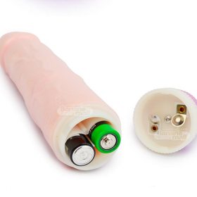 Dương Vật Giả Giá Rẻ 2 Pin Rokiwa - TR75 06